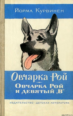 Овчарка Рой. Овчарка Рой и девятый "В"