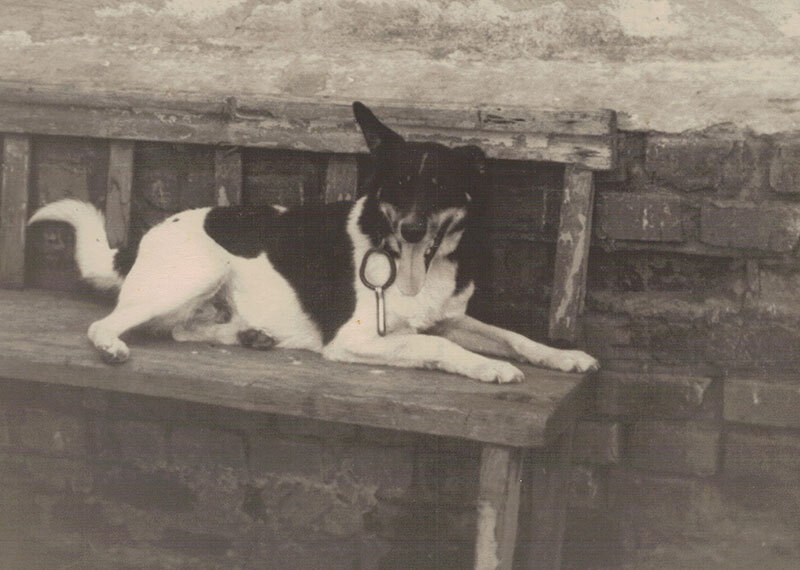 Искусство Барвуман - i_028.jpg