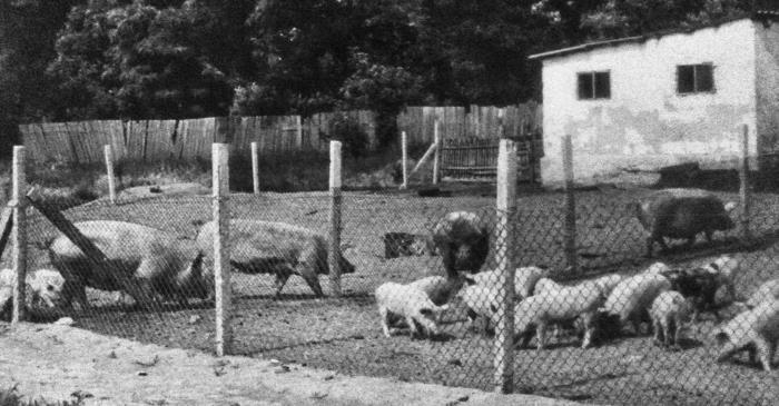 Алексей Журавко. Инвалид. Человек, на которого враг не пожалел HIMARS - i_002.jpg