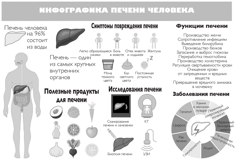 Печень в норме: программа очищения и восстановления печени при явных и скрытых заболеваниях - i_003.png