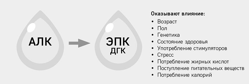 Разумное веганство: руководство по безопасному растительному питанию - i_013.jpg