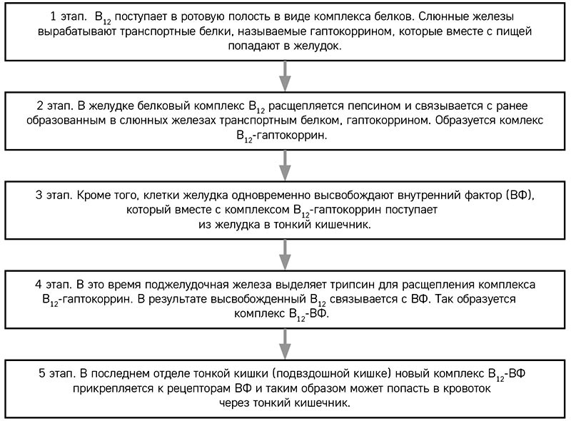 Разумное веганство: руководство по безопасному растительному питанию - i_014.jpg