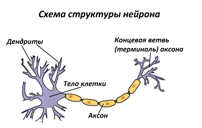 Бунт марионеток. Руководство по контрэволюционной психологии - _3.jpg