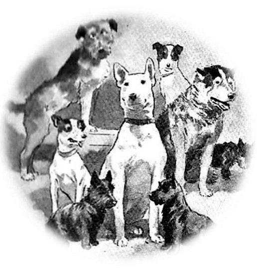 Собачьи истории - i_001.jpg