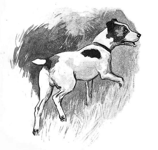 Собачьи истории - i_004.jpg