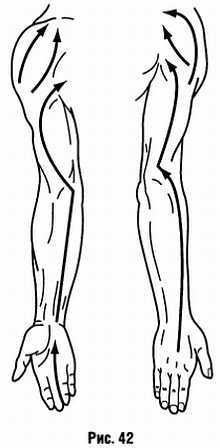 Медицинский массаж. Базовый курс: классическая техника массажа - _42.jpg