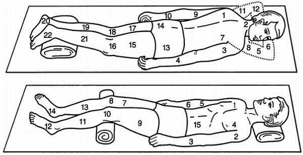 Медицинский массаж. Базовый курс: классическая техника массажа - _43.jpg