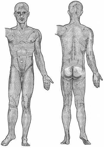 Медицинский массаж. Базовый курс: классическая техника массажа - _45.jpg