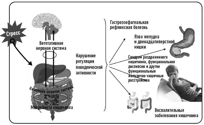 Вы это переварите! Комплексный подход к лечению болезней ЖКТ - i_003.jpg