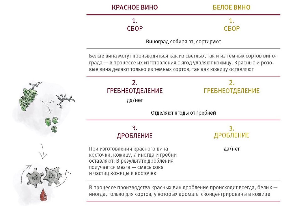 Винология: Записки профессионального гурмана о лучшем из напитков и культуре его потребления - i_007.jpg