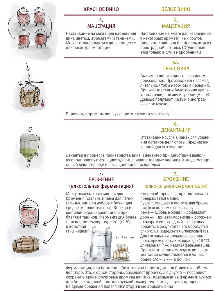 Винология: Записки профессионального гурмана о лучшем из напитков и культуре его потребления - i_008.jpg
