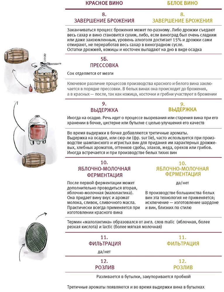 Винология: Записки профессионального гурмана о лучшем из напитков и культуре его потребления - i_009.jpg