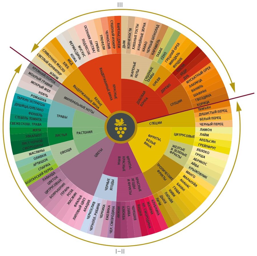 Винология: Записки профессионального гурмана о лучшем из напитков и культуре его потребления - i_016.jpg
