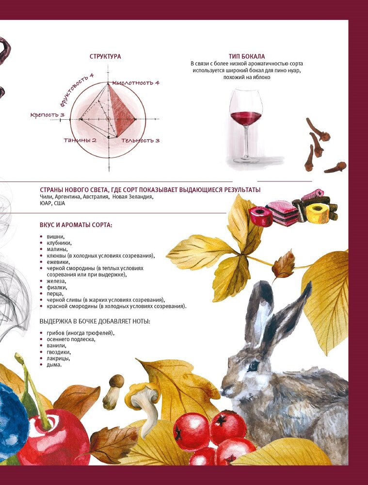Винология: Записки профессионального гурмана о лучшем из напитков и культуре его потребления - i_095.jpg