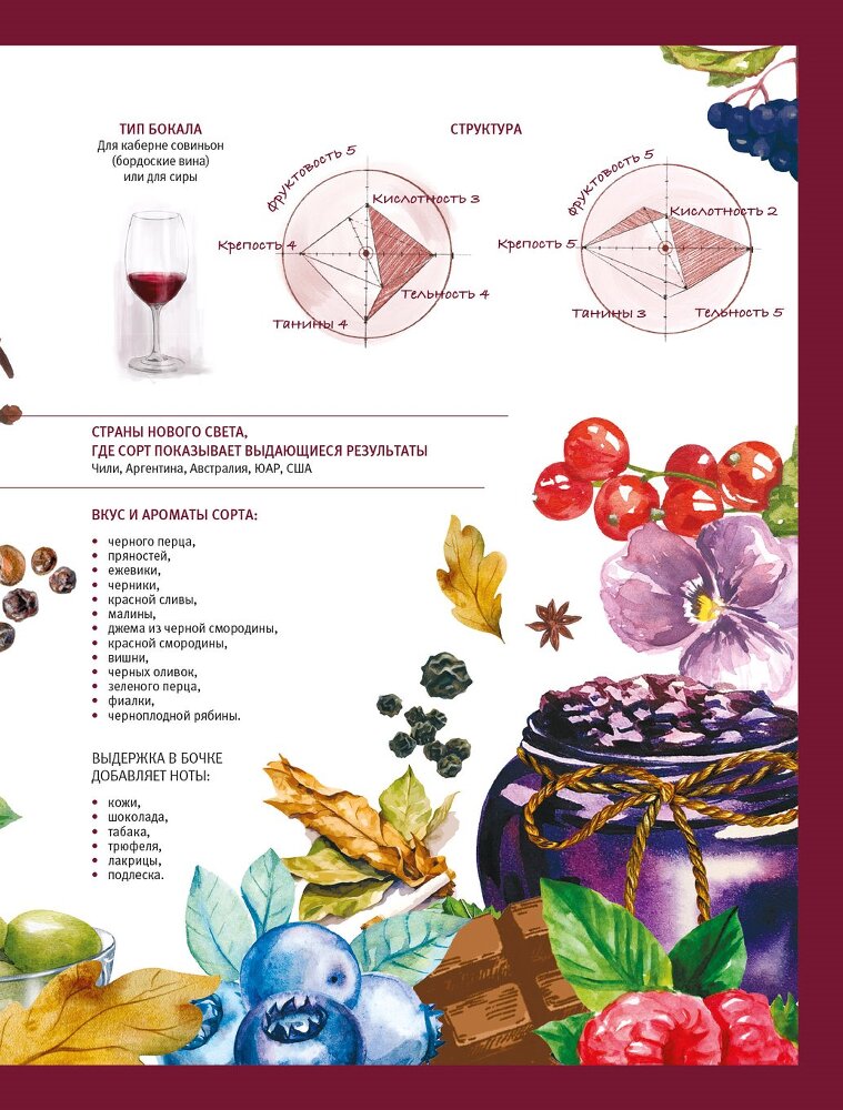 Винология: Записки профессионального гурмана о лучшем из напитков и культуре его потребления - i_099.jpg