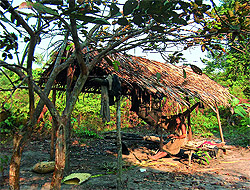 Журнал «Компьютерра» № 36 от 02 октября 2007 года - i_019.jpg