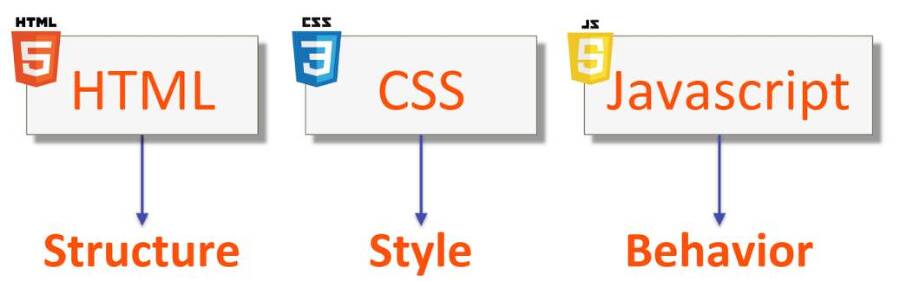 Введение в веб-разработку с HTML, CSS, JavaScript - _11.jpg