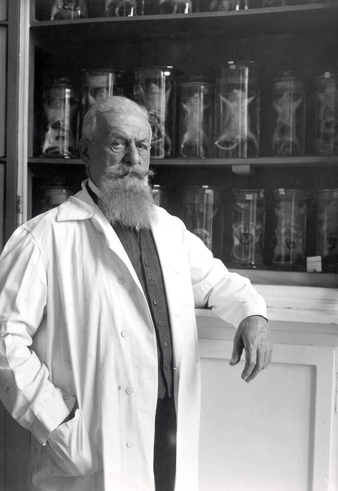 Борьба со смертью - imgBE72.jpg