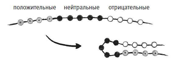 Простое начало. Как четыре закона физики формируют живой мир - i_020.jpg