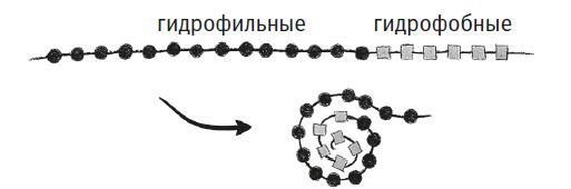 Простое начало. Как четыре закона физики формируют живой мир - i_021.jpg