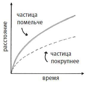 Простое начало. Как четыре закона физики формируют живой мир - i_056.jpg