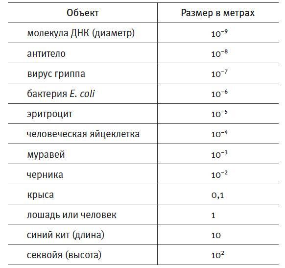 Простое начало. Как четыре закона физики формируют живой мир - i_080.jpg