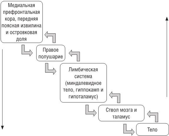 ПТСР. Руководство по проработке психологических травм - i_009.jpg