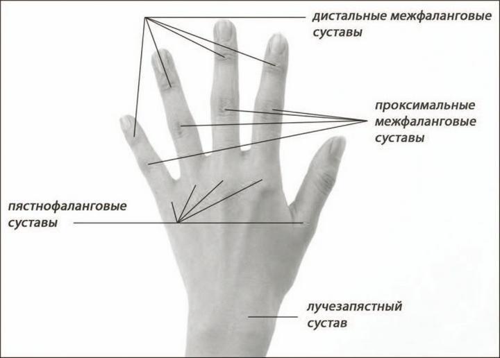 "Перевал Дятлова". Компиляция. Книги 1-9 (СИ) - i_080.jpg