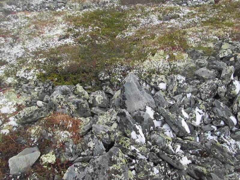 "Перевал Дятлова". Компиляция. Книги 1-9 (СИ) - i_114.jpg