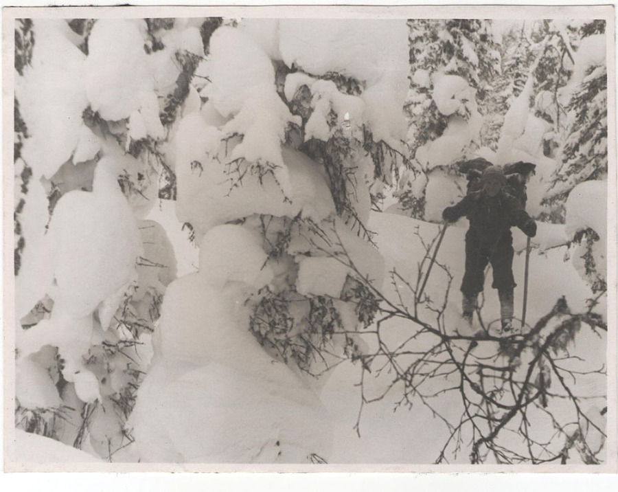 "Перевал Дятлова". Компиляция. Книги 1-9 (СИ) - i_151.jpg