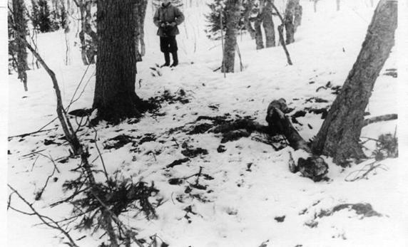 "Перевал Дятлова". Компиляция. Книги 1-9 (СИ) - i_155.jpg