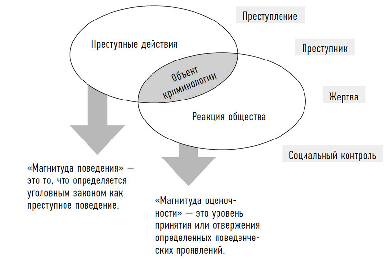 В голове убийцы. Наводящие ужас и вызывающие любопытство мотивы и мысли маньяков - i_001.jpg