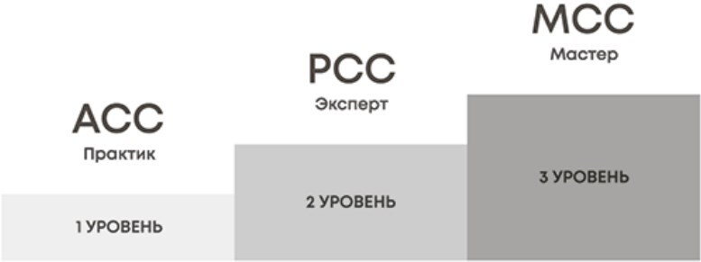 Делай как коуч. Книга для тех, кто хочет достичь гениальных результатов в жизни - i_007.jpg