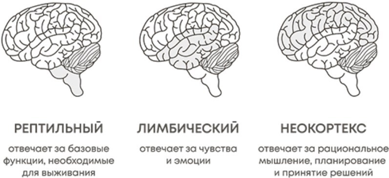 Делай как коуч. Книга для тех, кто хочет достичь гениальных результатов в жизни - i_013.jpg