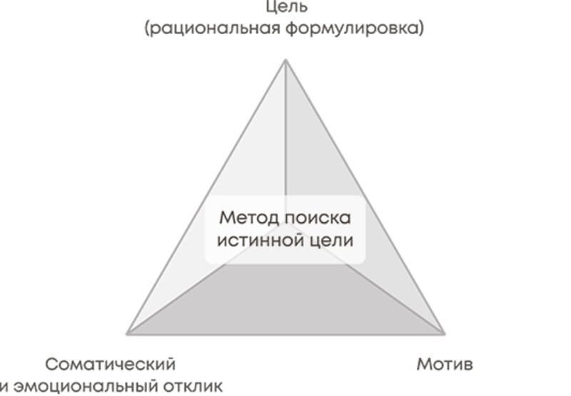 Делай как коуч. Книга для тех, кто хочет достичь гениальных результатов в жизни - i_022.jpg