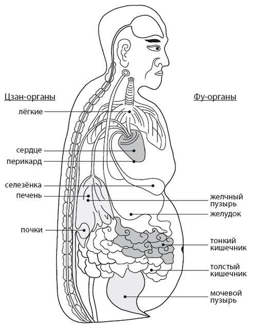 Натуропатия избыточного веса, диабета и атеросклероза. Аюрведа, китайская медицина, нутрициология - i_014.jpg