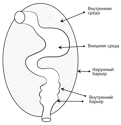 Кишечник работает. Мы отдыхаем - i_005.jpg