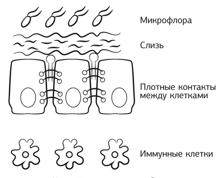 Кишечник работает. Мы отдыхаем - i_006.jpg