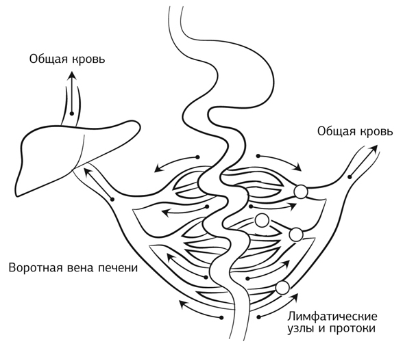 Кишечник работает. Мы отдыхаем - i_007.jpg