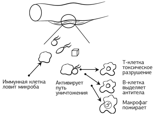 Кишечник работает. Мы отдыхаем - i_008.jpg