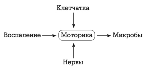 Кишечник работает. Мы отдыхаем - i_009.jpg