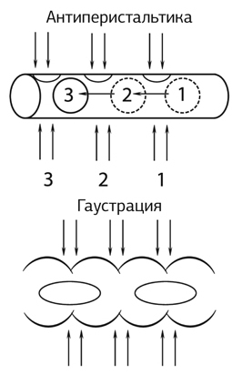 Кишечник работает. Мы отдыхаем - i_011.jpg