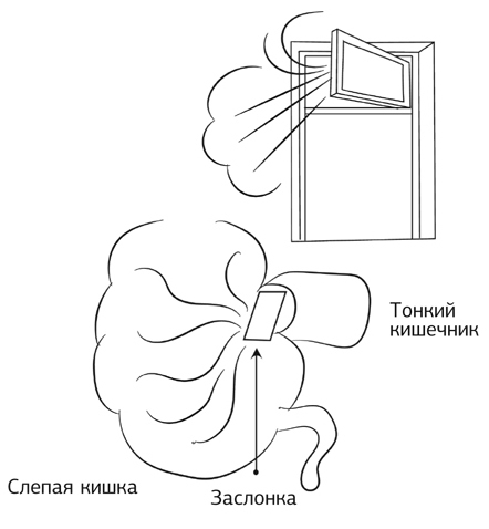 Кишечник работает. Мы отдыхаем - i_012.jpg