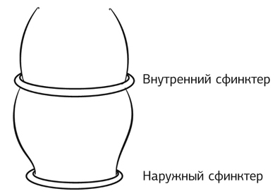 Кишечник работает. Мы отдыхаем - i_013.jpg