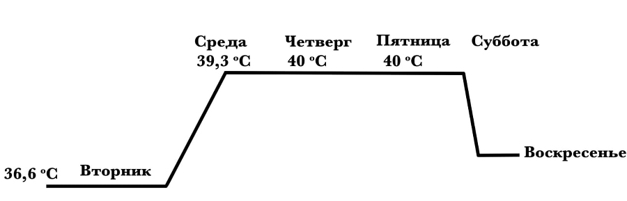 Дневники: 1936–1941 - _1.jpg