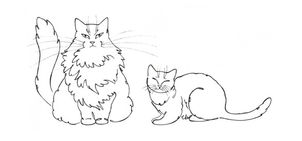 Мои Пюхтицы и Приходские рассказы - i_003.jpg