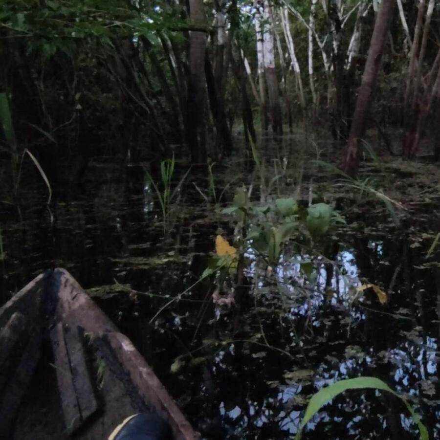 Тет-а-тет с Амазонкой - _76.jpg