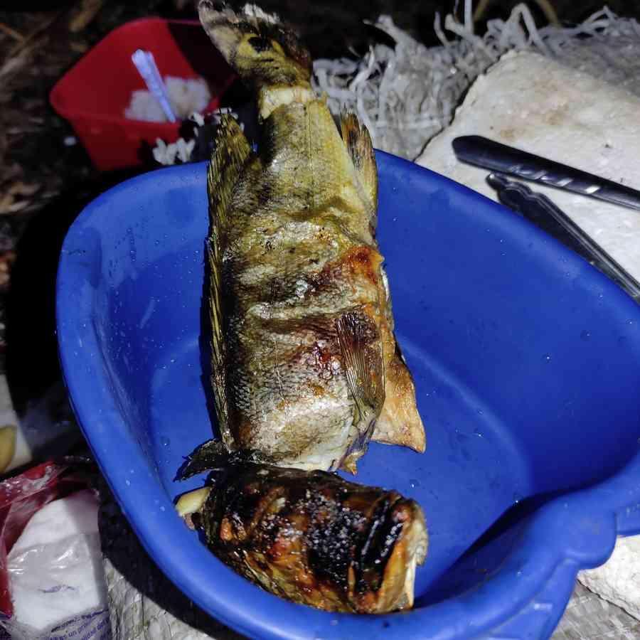 Тет-а-тет с Амазонкой - _77.jpg