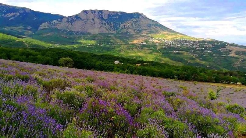 Т-путешествие. Крым и места Силы. Часть 1 - _9.jpg