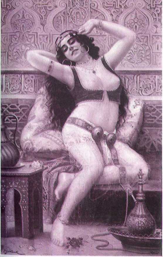 Восточные услады, или любовные игры султанов - i_030.jpg